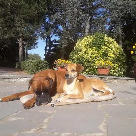 Casal Ponziani Per Civita E Dintorni Casa vacanze Bagnoregio