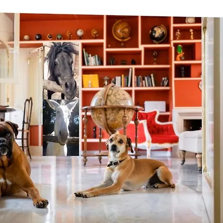 Casa vacanze Casal Ponziani Per Civita E Dintorni Bagnoregio