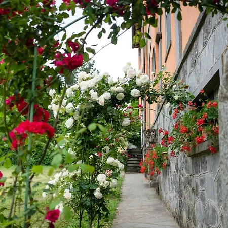 Casal Ponziani * Bagnoregio
